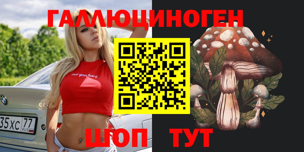 Малоярославец  Галлюциногенные грибы Magic Shrooms  Вход с VPN 