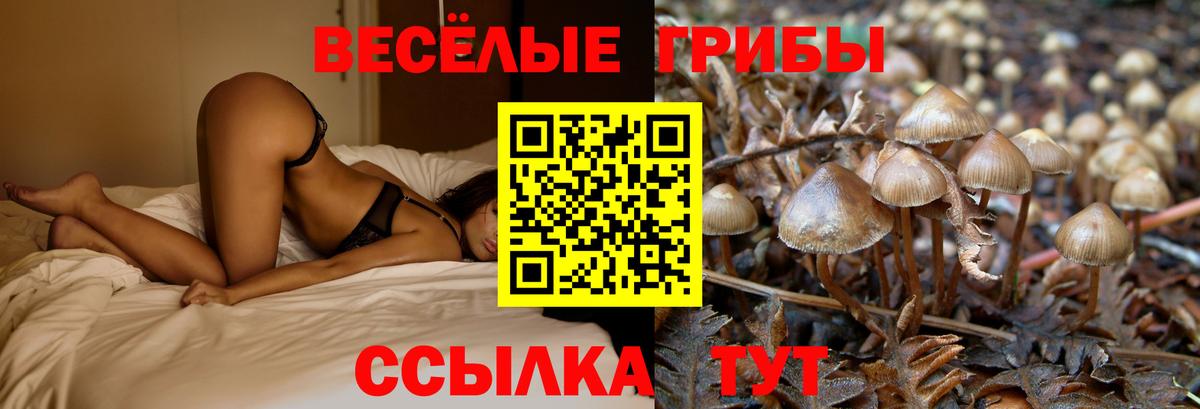Галлюциногенные грибы мицелий Малоярославец